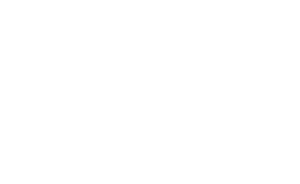 OtsoSmart Logo White